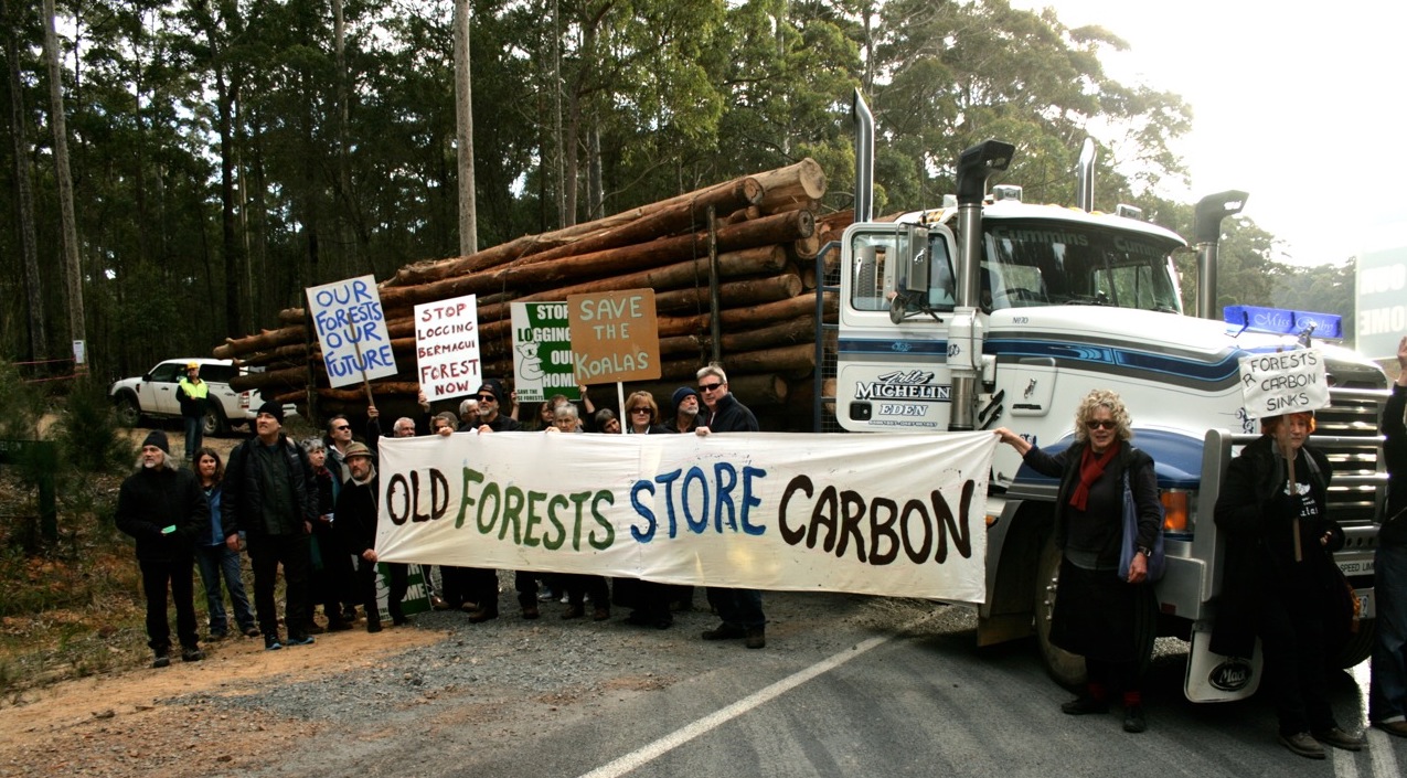 protest_Bermagui_2011_a